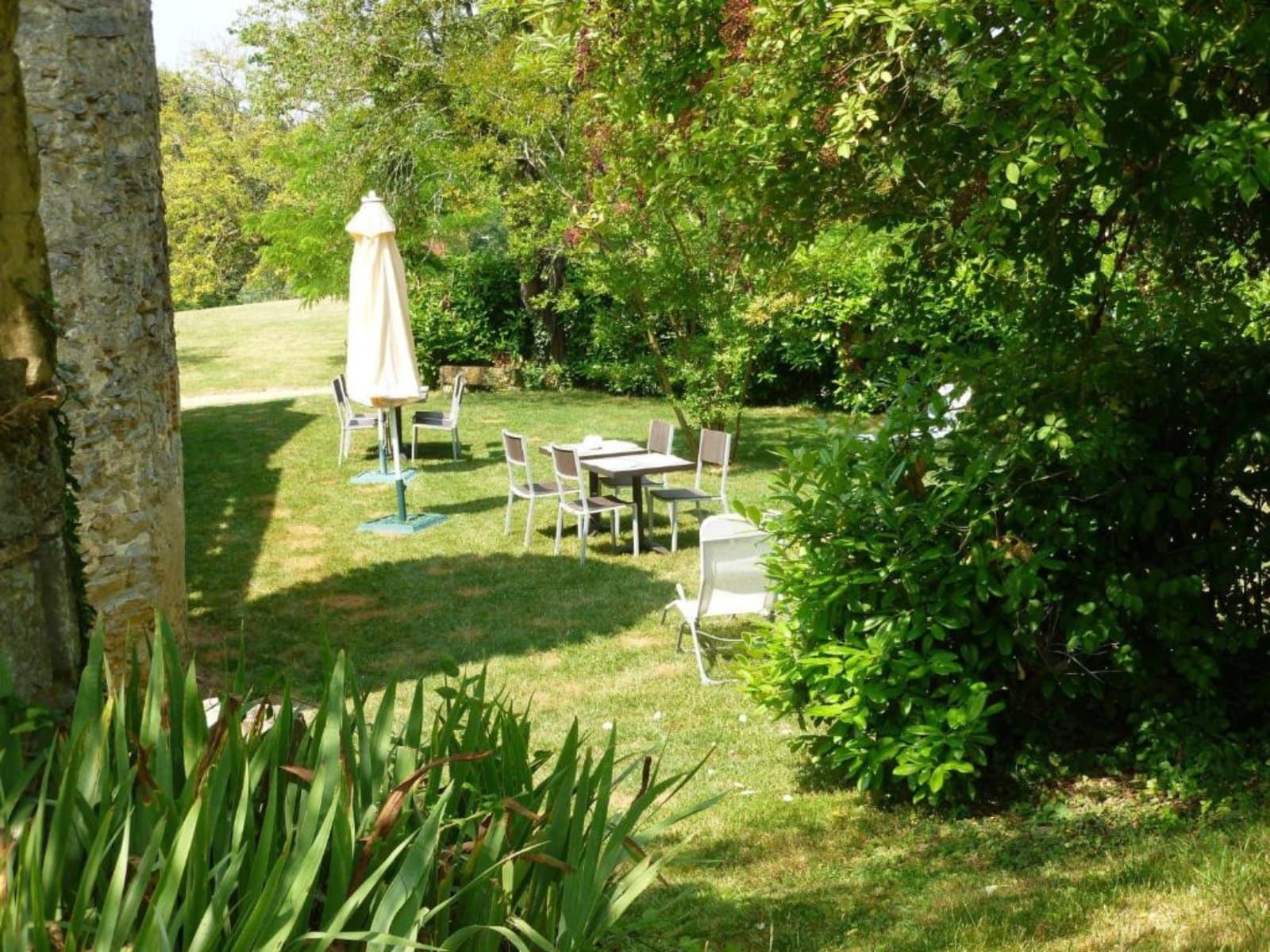 Jardin (1)