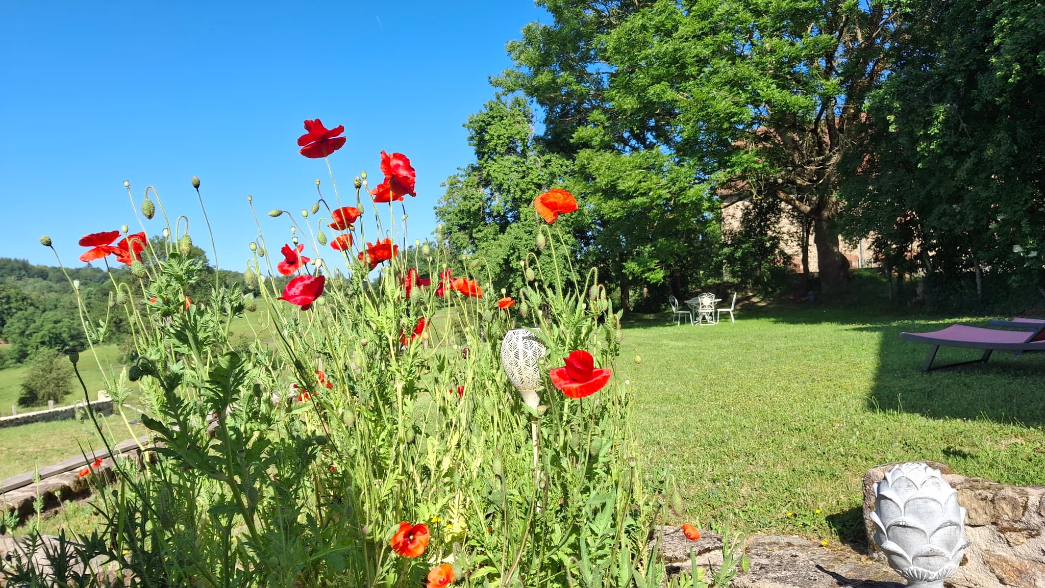 Jardin