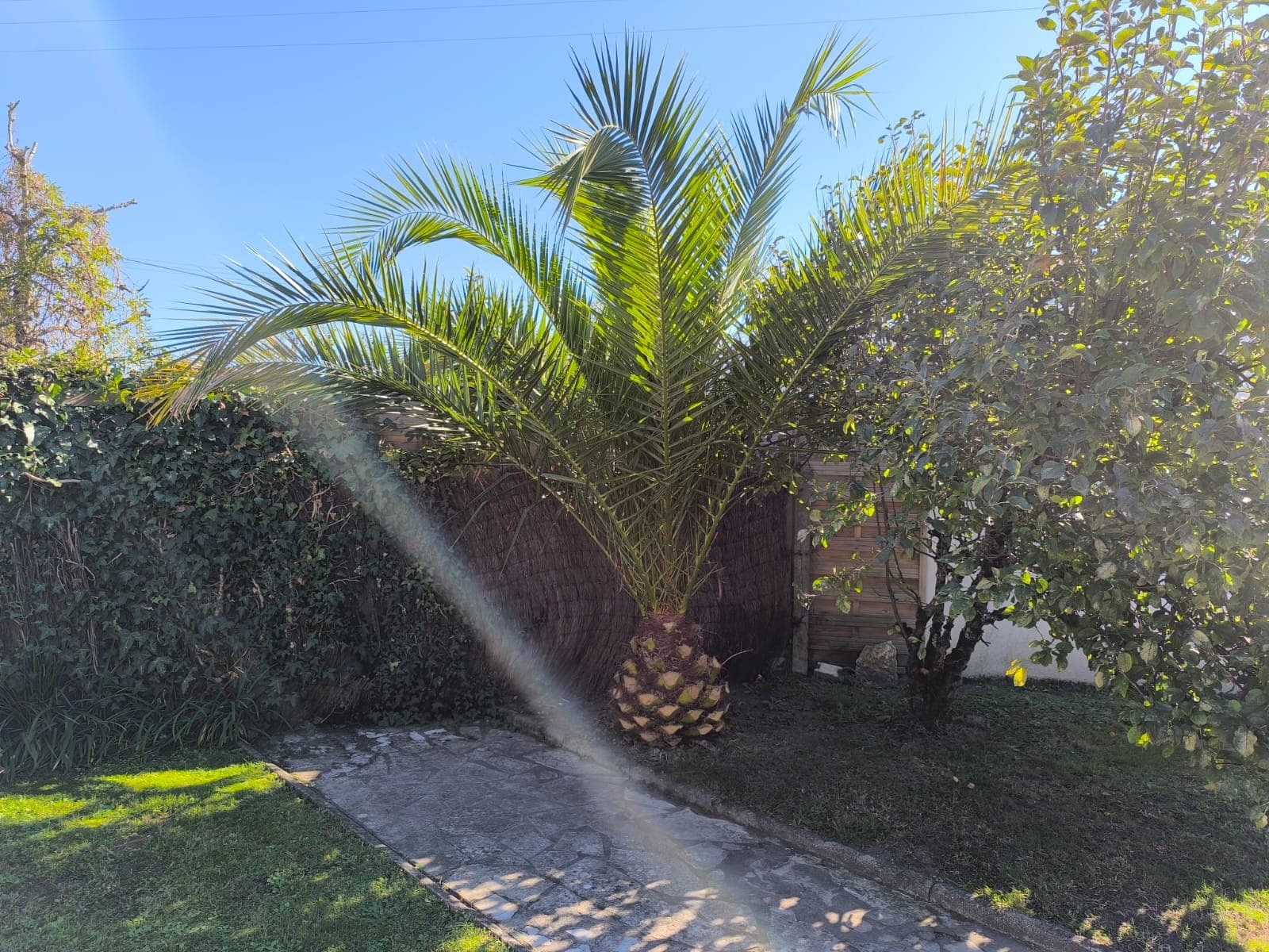 Jardin