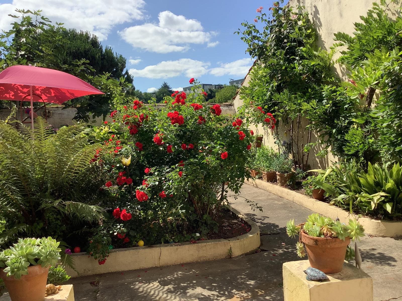 Jardin
