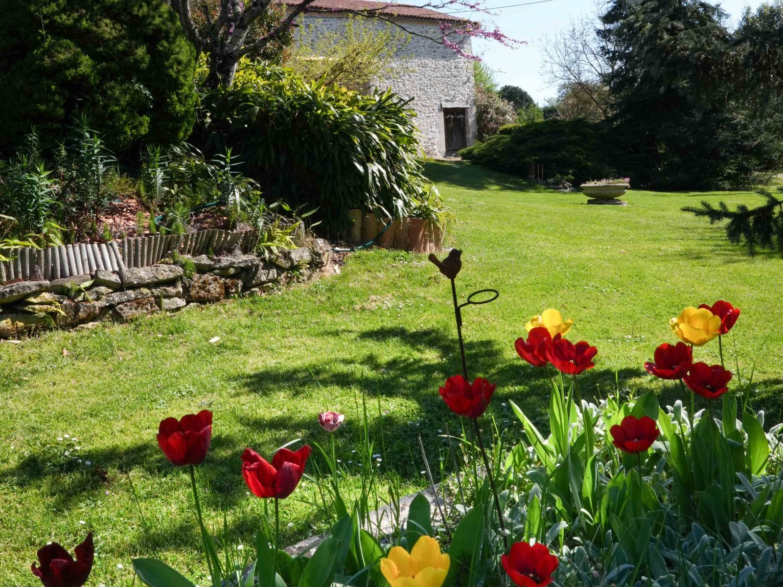 Jardin 2