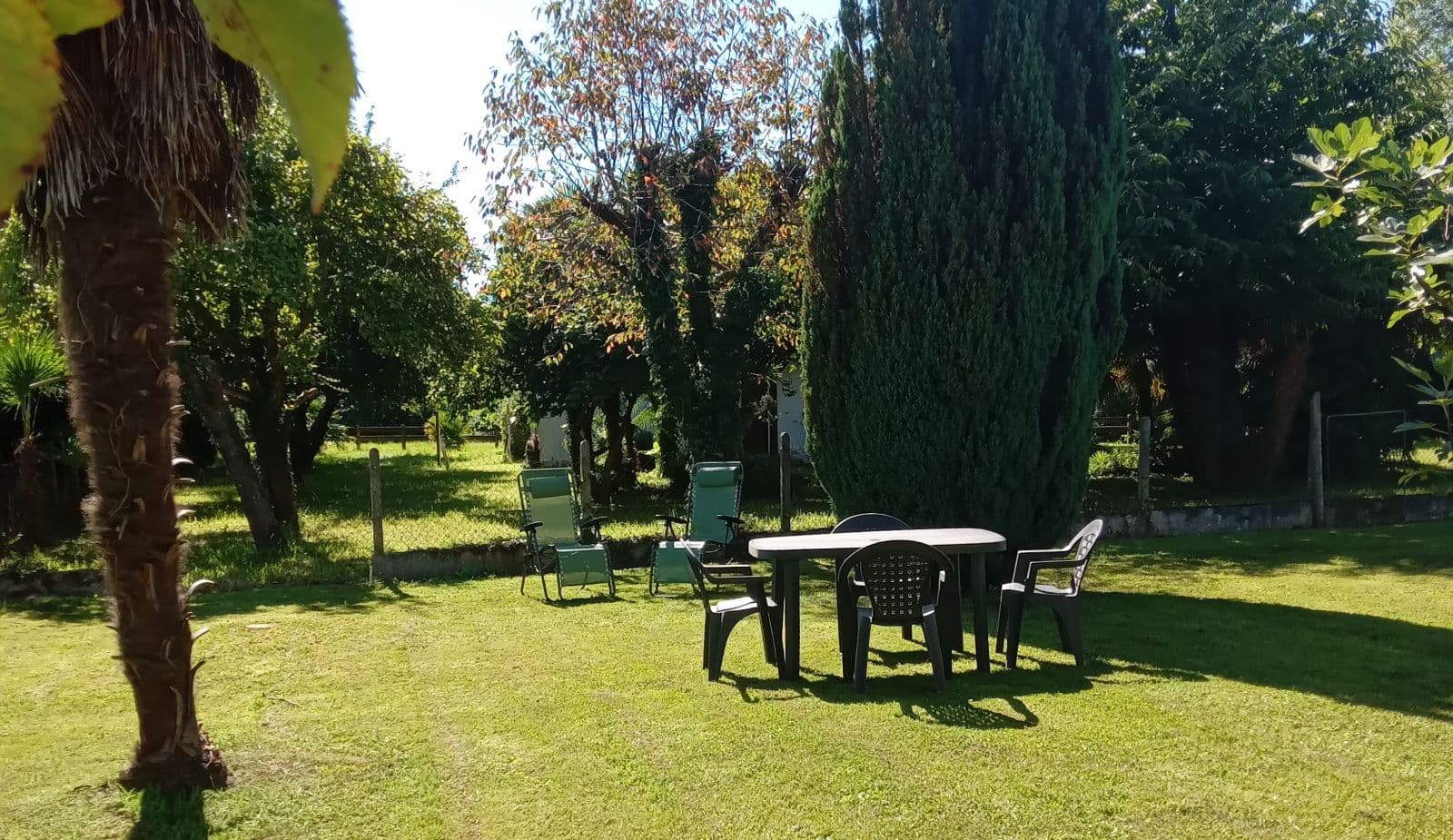 Jardin