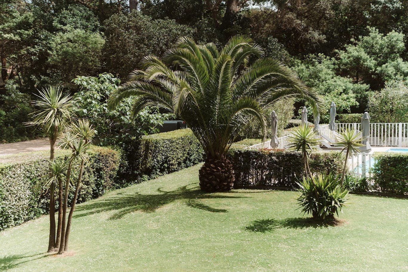 Jardin