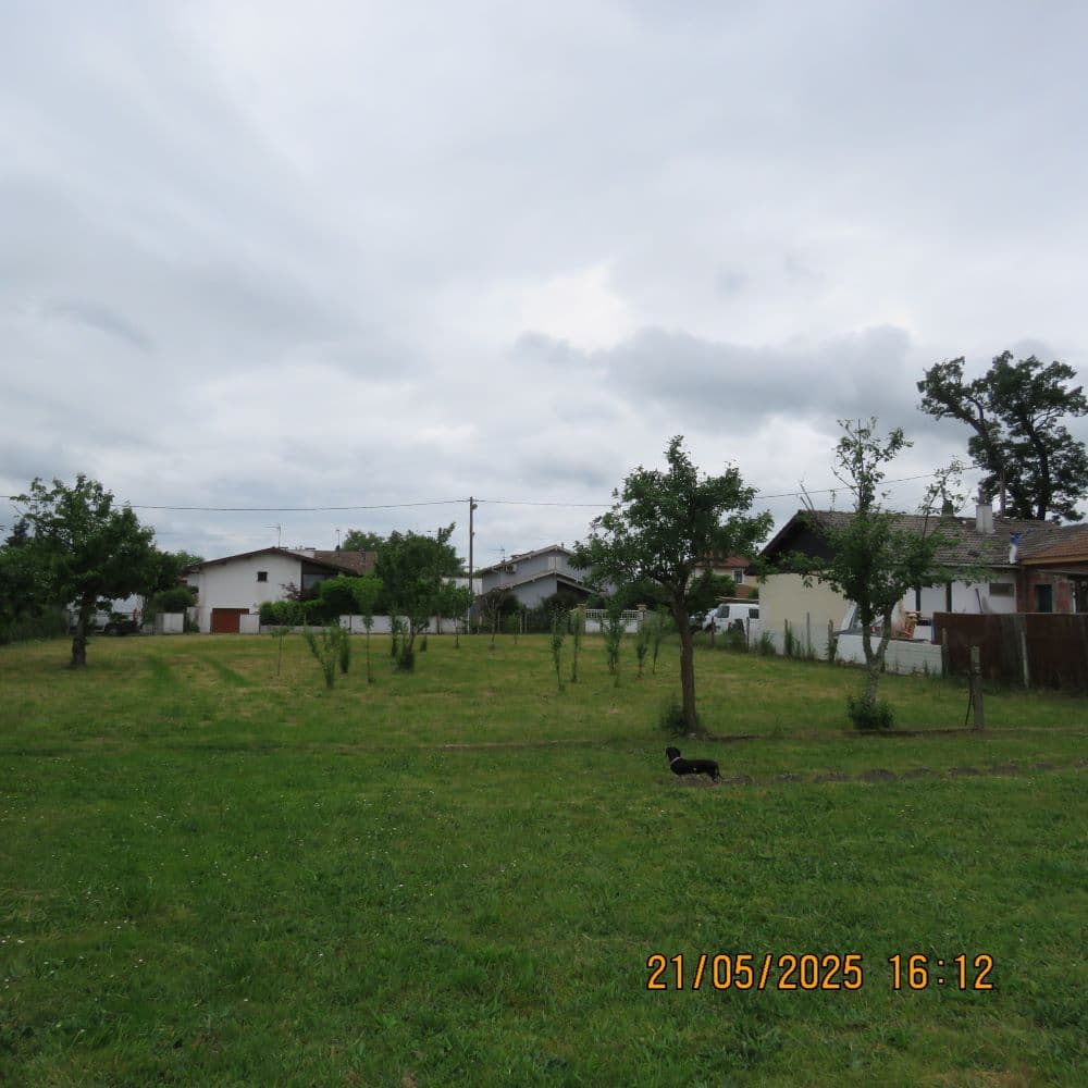 Jardin