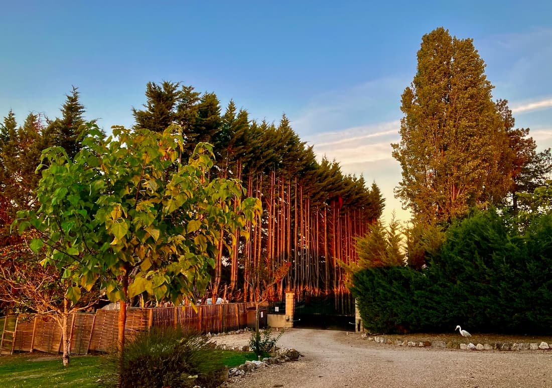Jardin