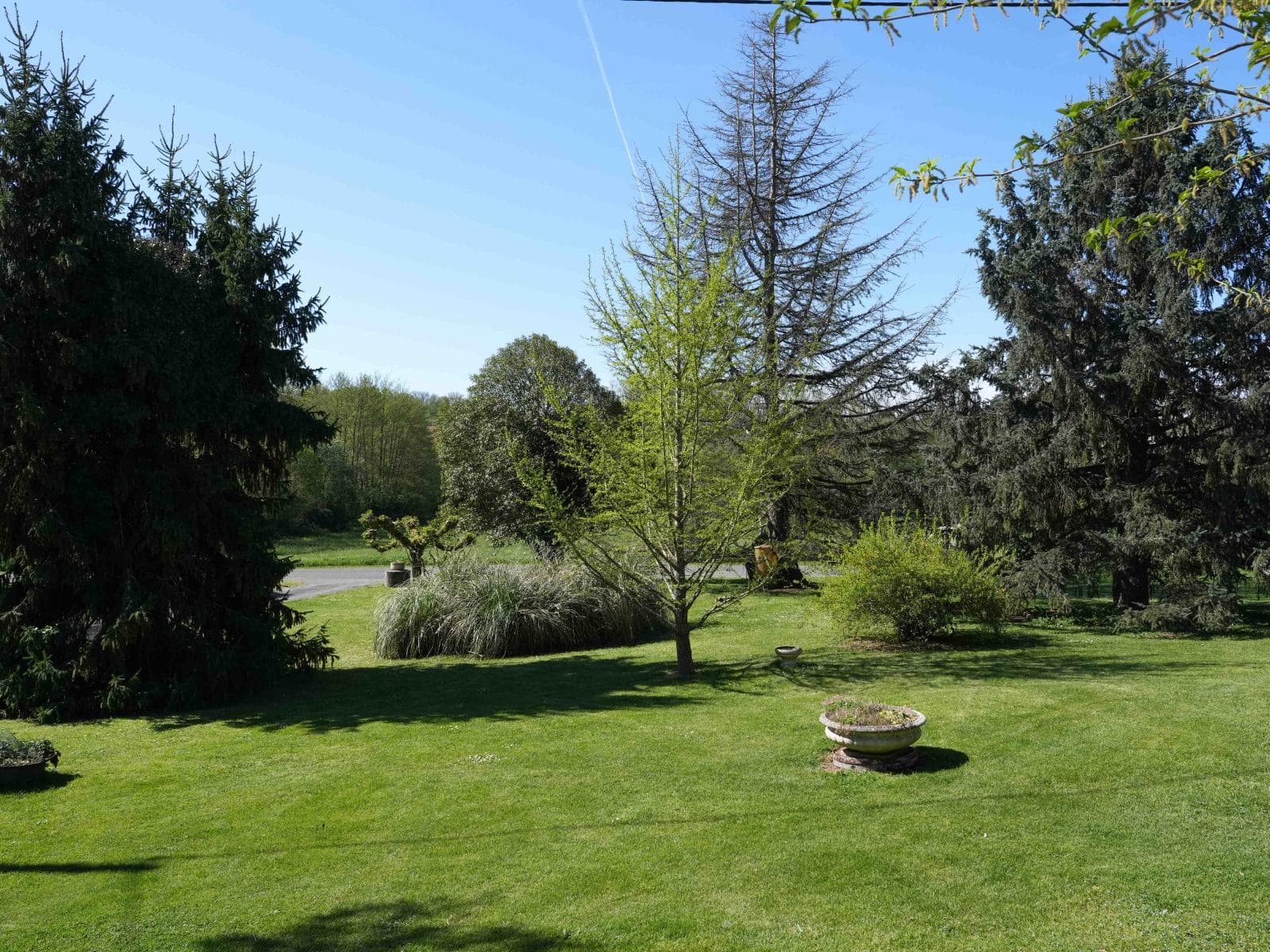 Jardin 3