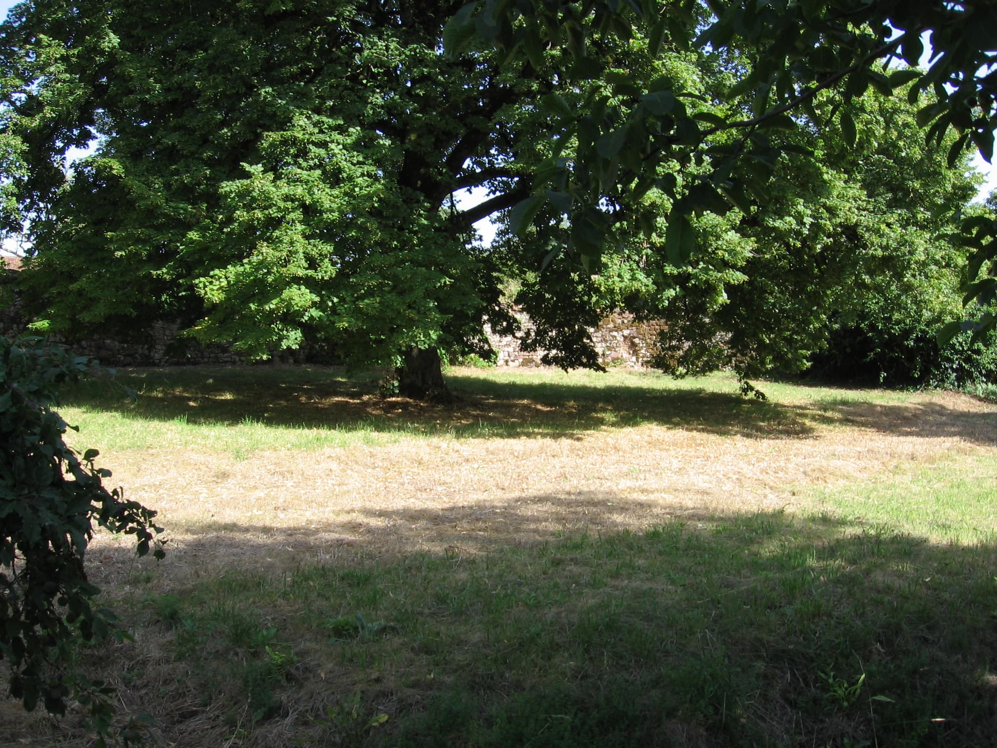 Jardin_7