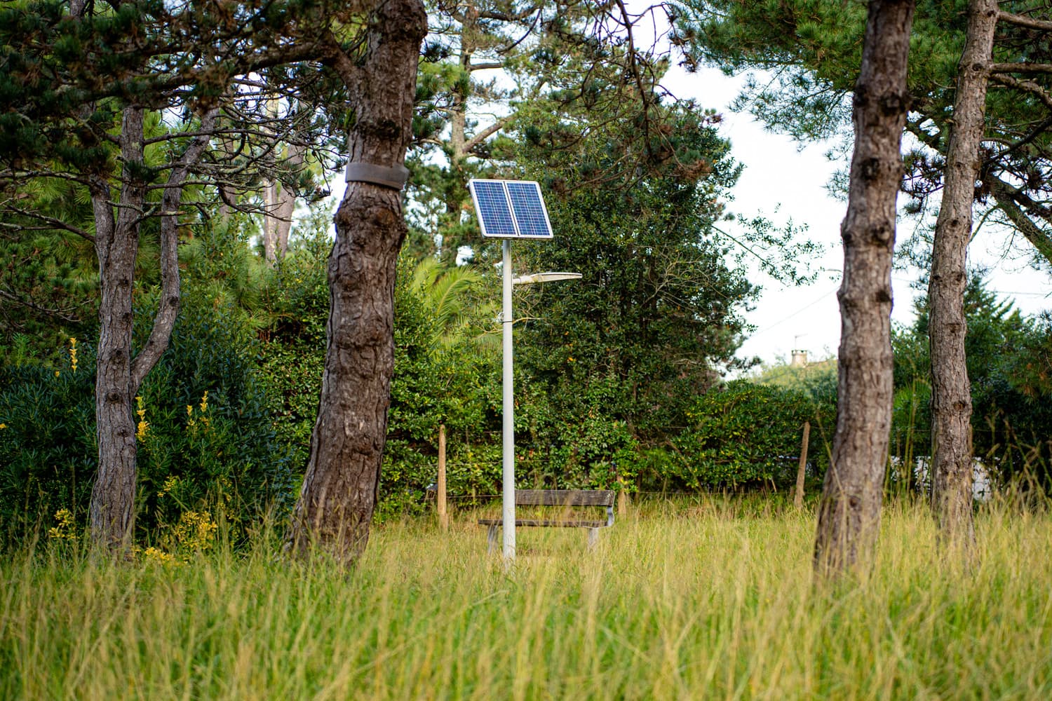 Jardin Lichtenberger