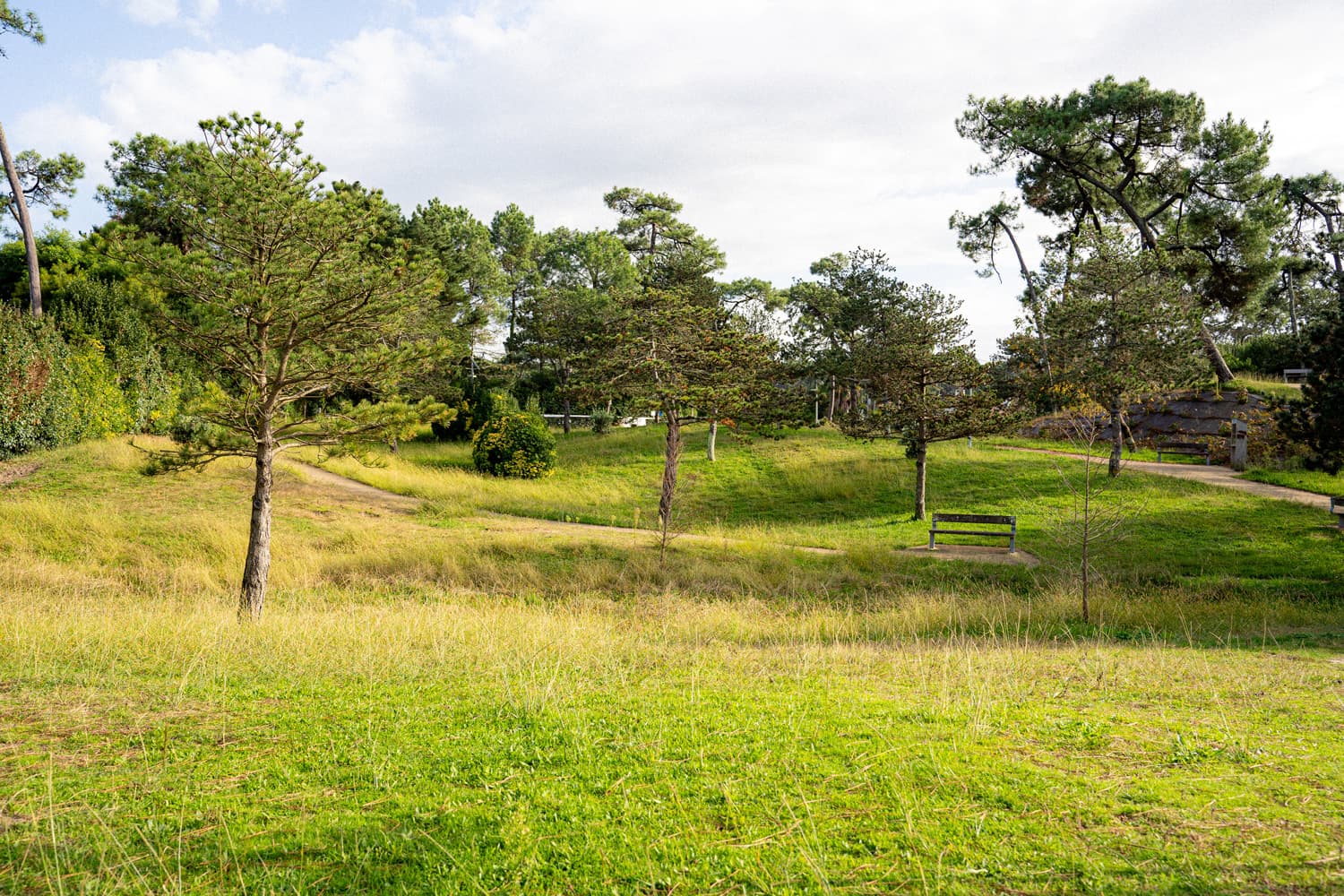 Jardin Lichtenberger