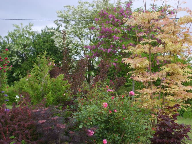 Jardin-Mireille-Lot-et-Garonne-pres-Duras-2020--10-