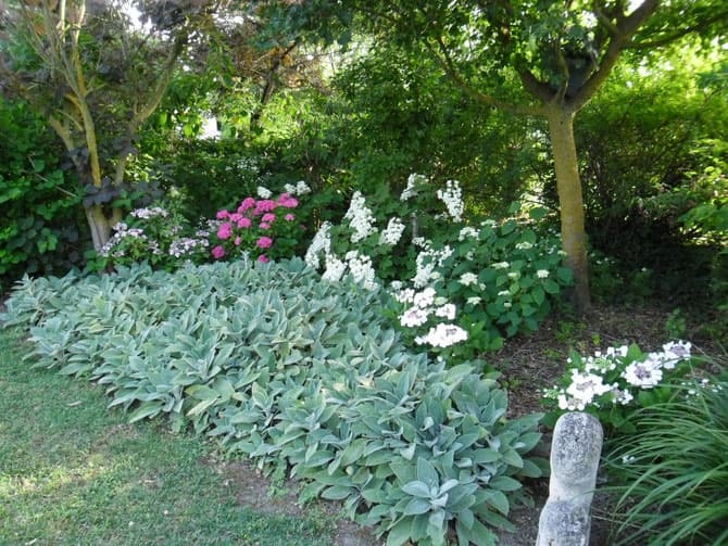 Jardin-Mireille-Lot-et-Garonne-pres-Duras-2020--15-