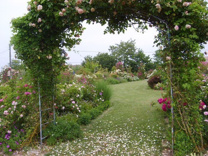 Jardin-Mireille-Lot-et-Garonne-pres-Duras-2020--3-