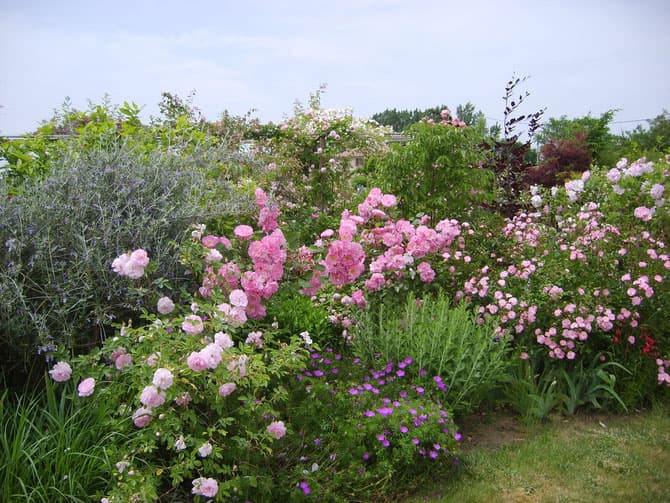 Jardin-Mireille-Lot-et-Garonne-pres-Duras-2020--4-