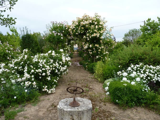 Jardin-Mireille-Lot-et-Garonne-pres-Duras-2020--7-