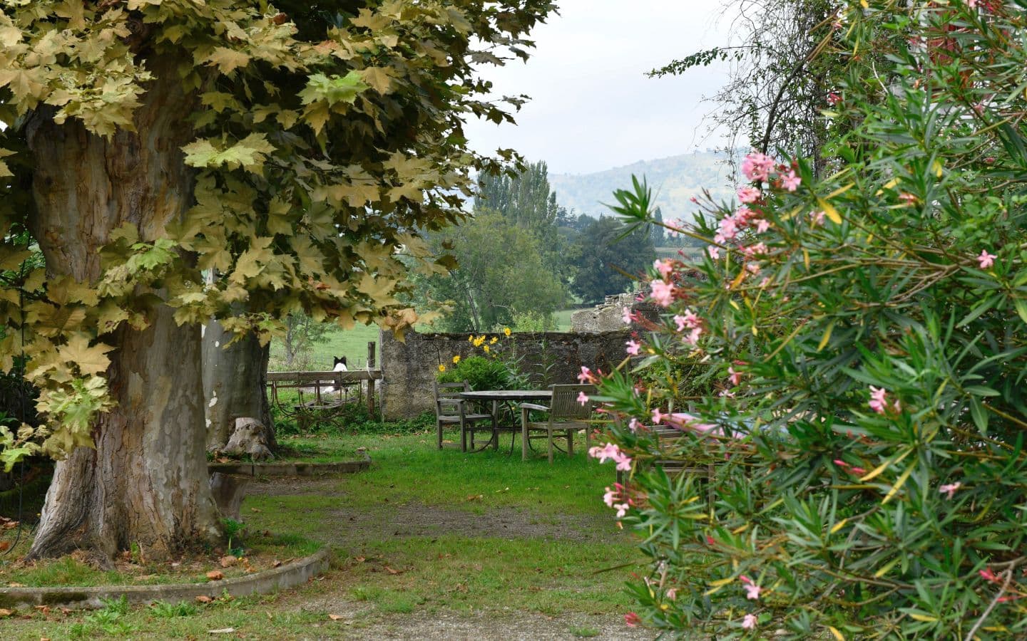 Jardin-Oyhanartia