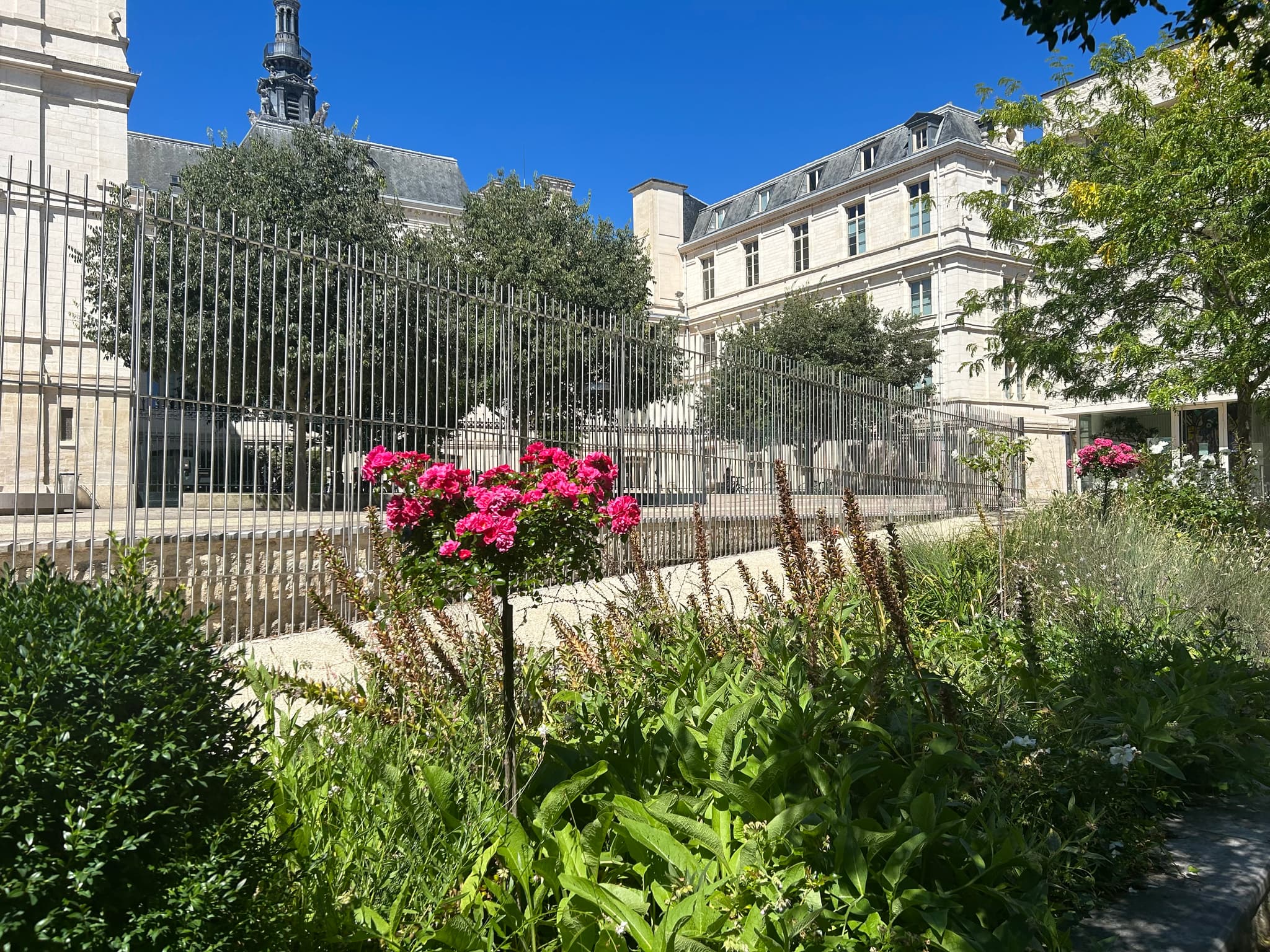 Jardin Simone Veil - 4