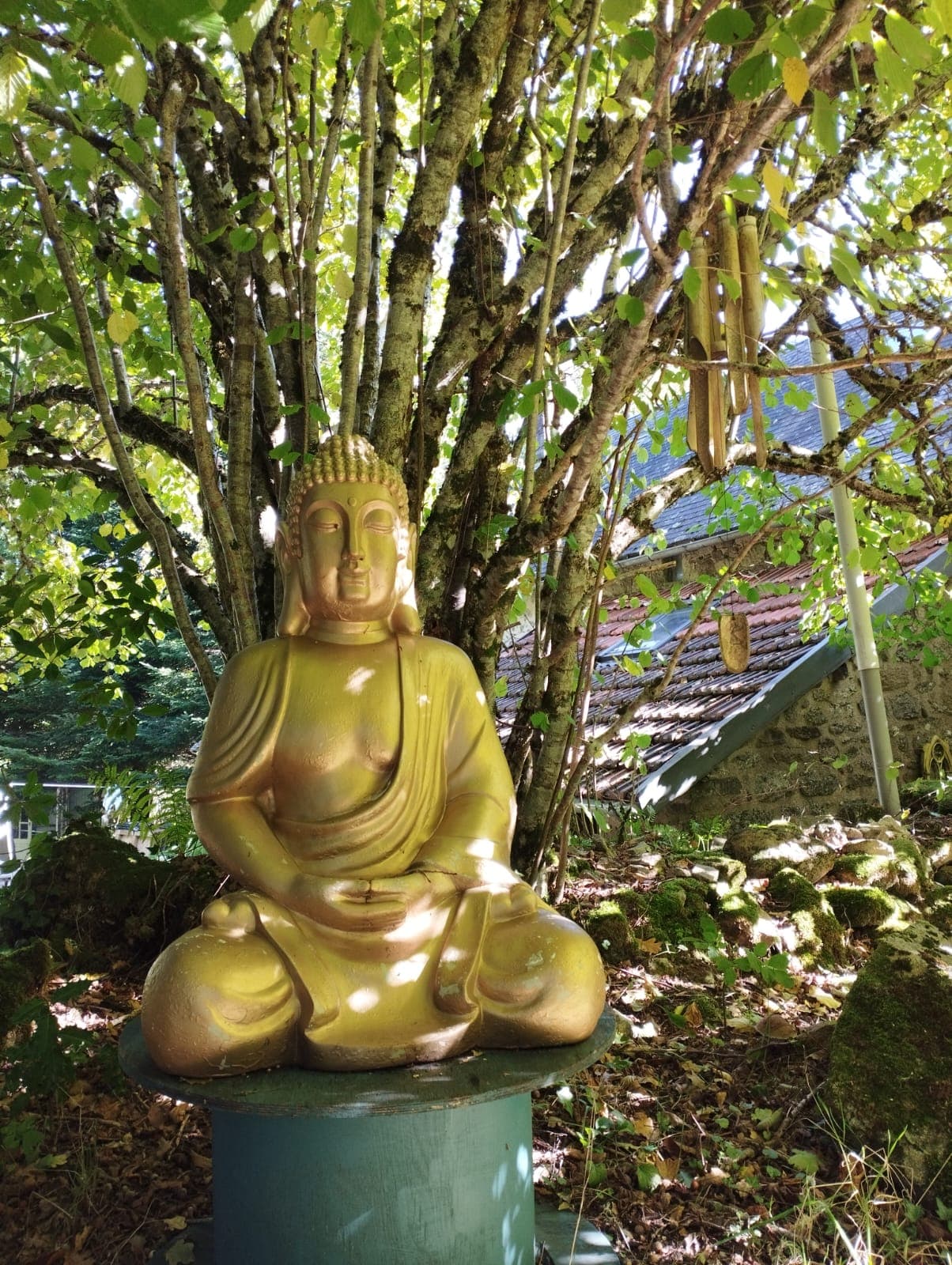 Jardin Zen