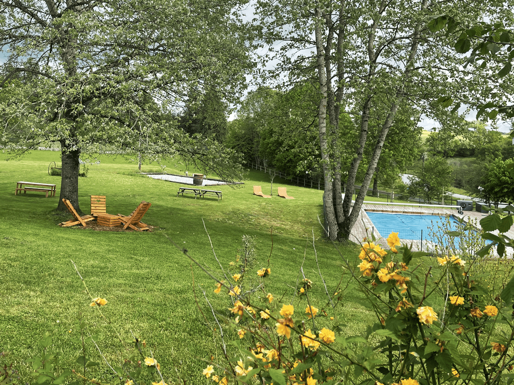 Jardin avec piscine
