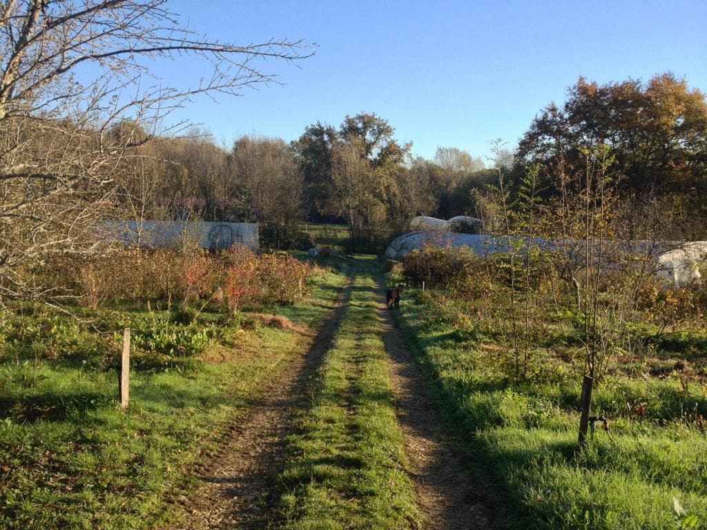 Jardin-bio-St-Martin