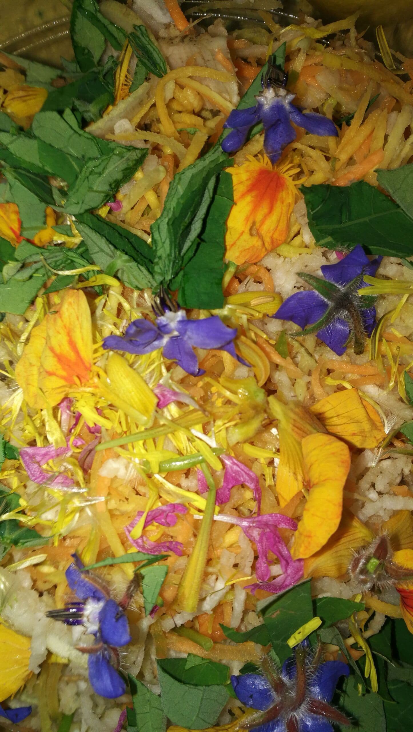 Jardin-bio-St-Martin-fleurs