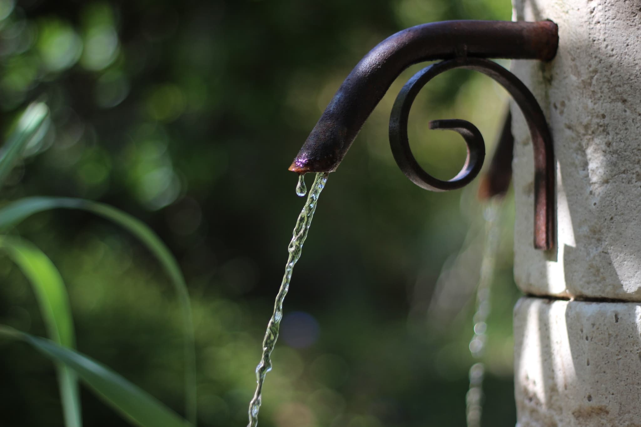 Jardin de Boissonna - Glad - Baleyssagues
