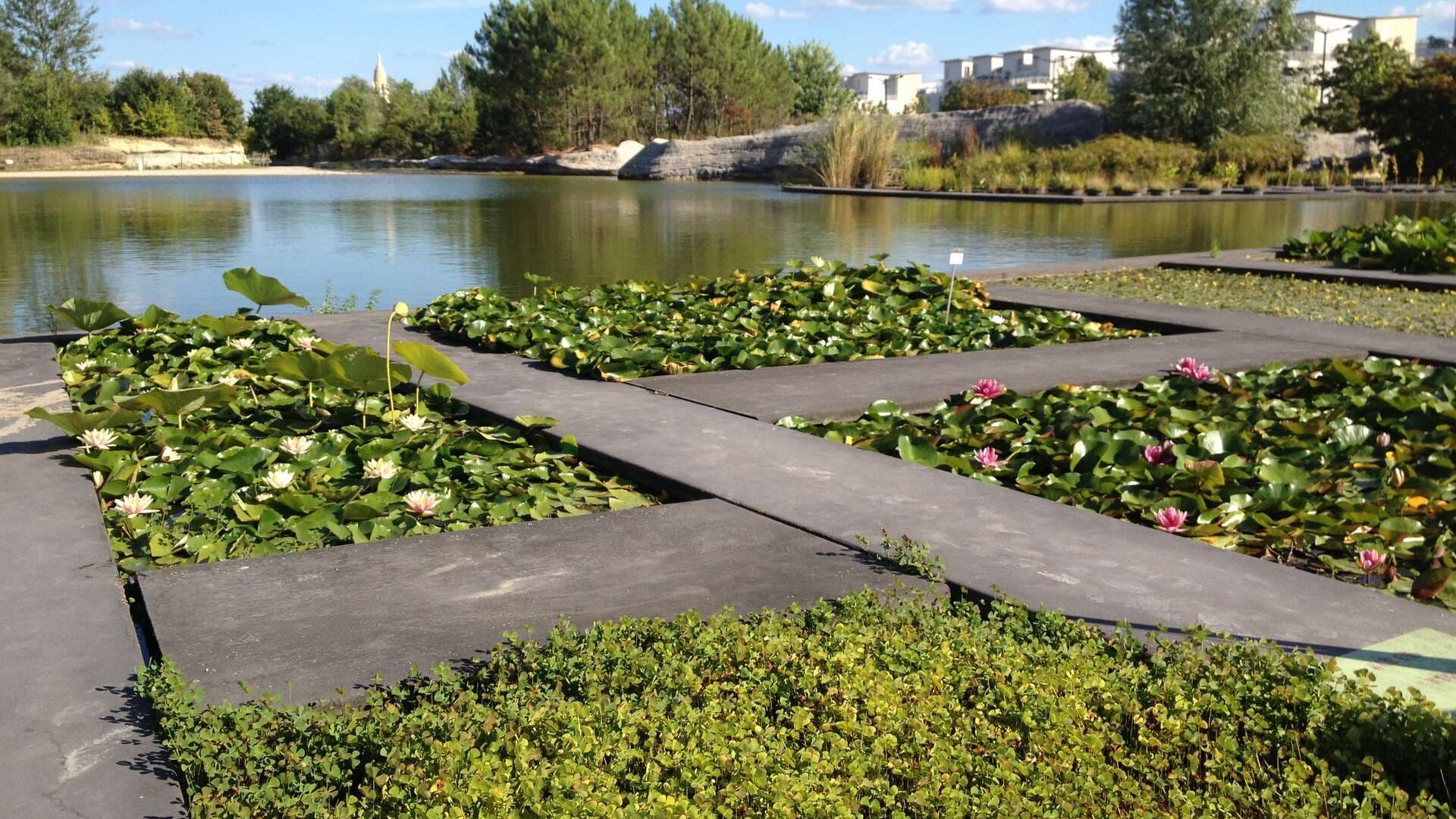 Jardin-botanique