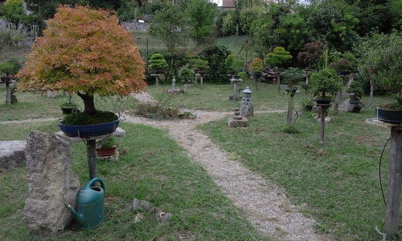 Jardin de bonsais 4