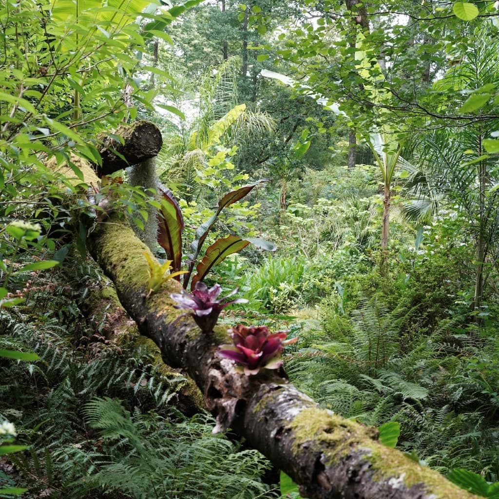 Jardin des Barthes 4 OTILAS 25