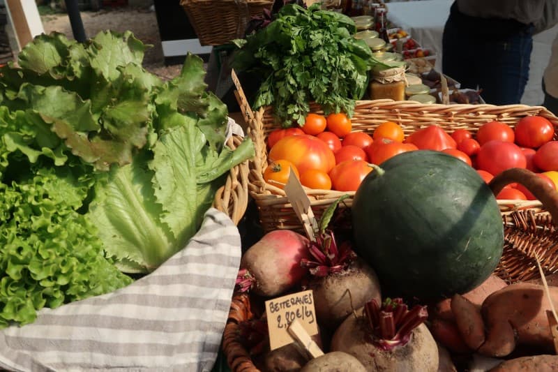 Jardin des chaos granitiques légumes