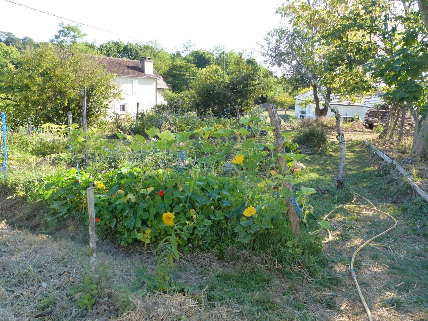 Jardin épicurien 3