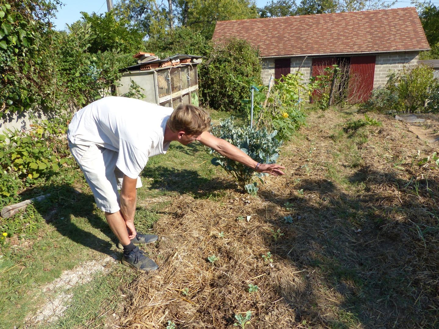 Jardin épicurien 4