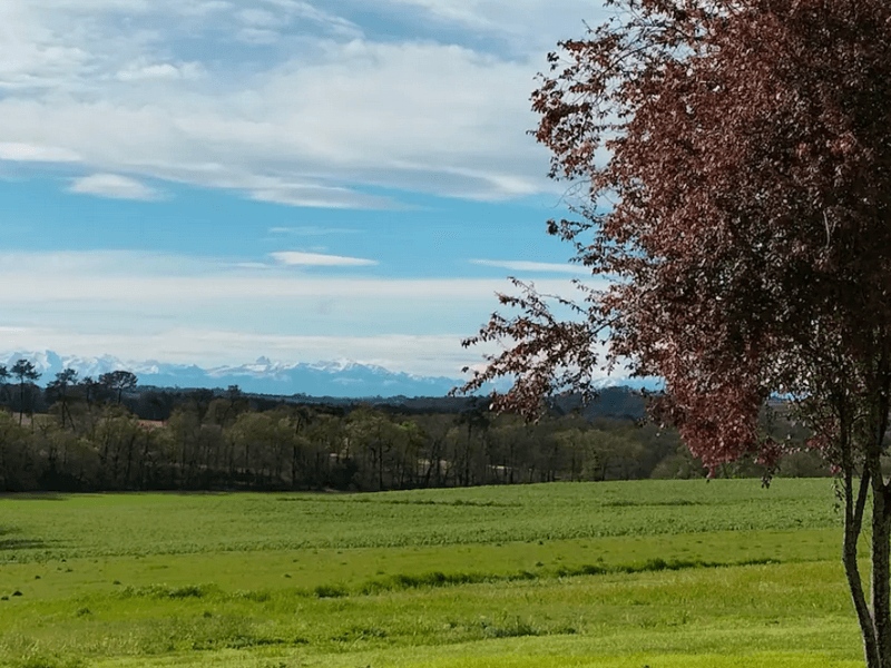 Jardin vue Dubourg