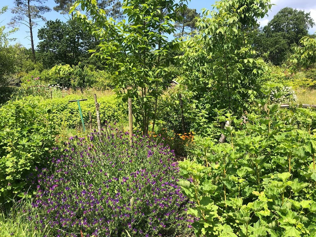 Jardins Humanité11_TYROSSE_OTILAS