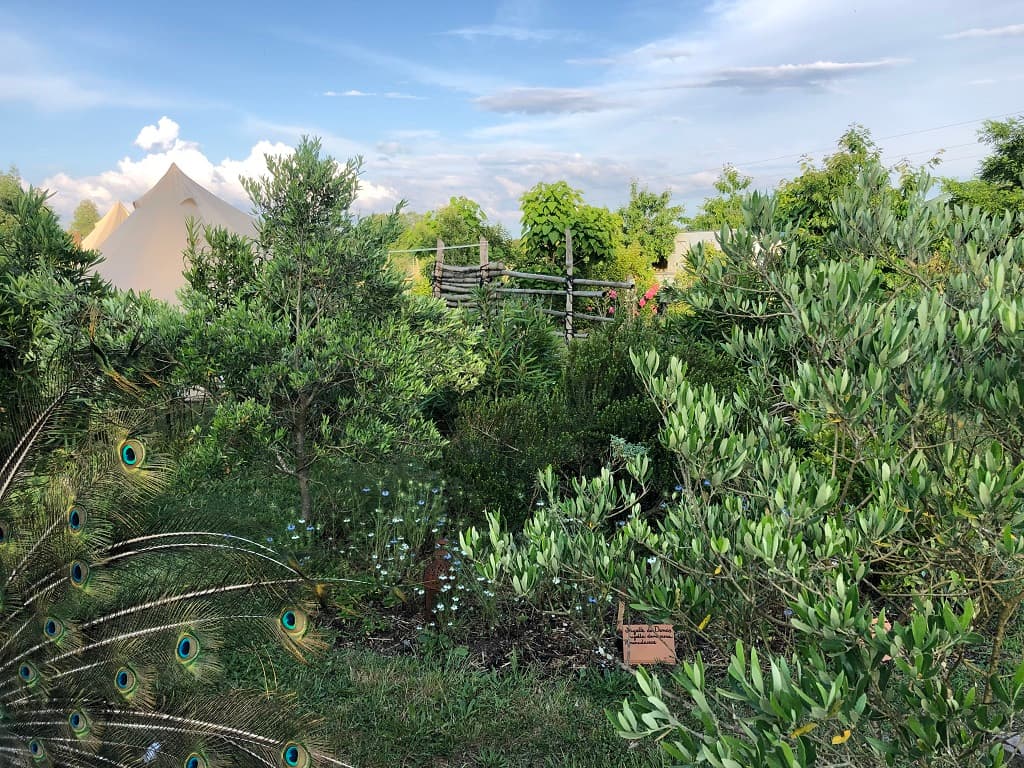 Jardins Humanité12_TYROSSE_OTILAS