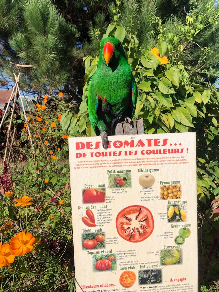 Jardins Humanité6_TYROSSE_OTILAS.jpg