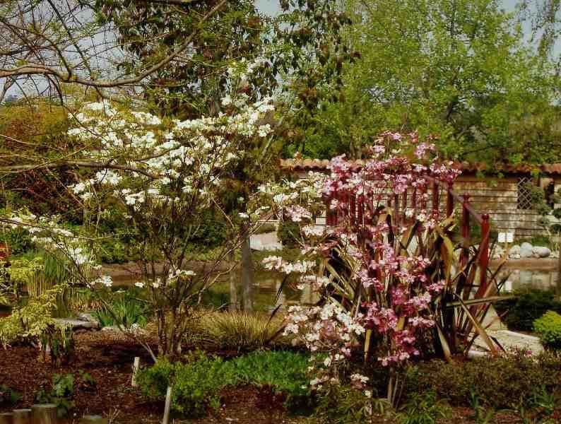 Jardins-de-Beauchamp-2-2