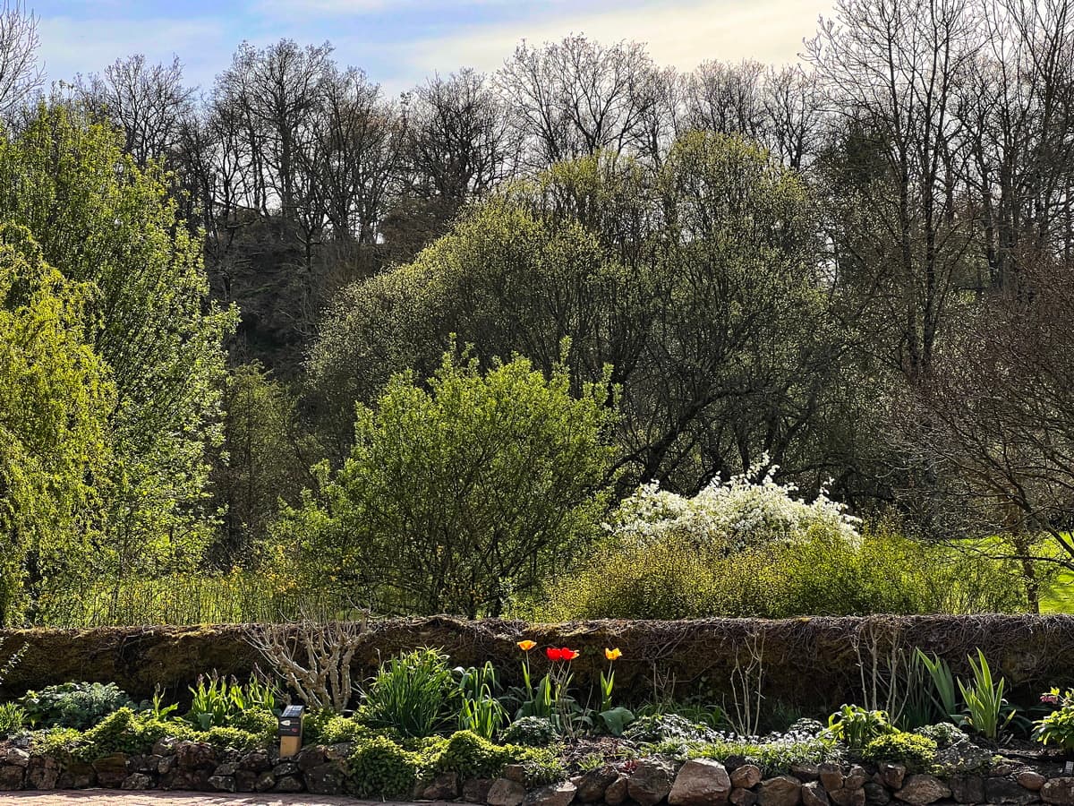 Jardins-du-gue-04