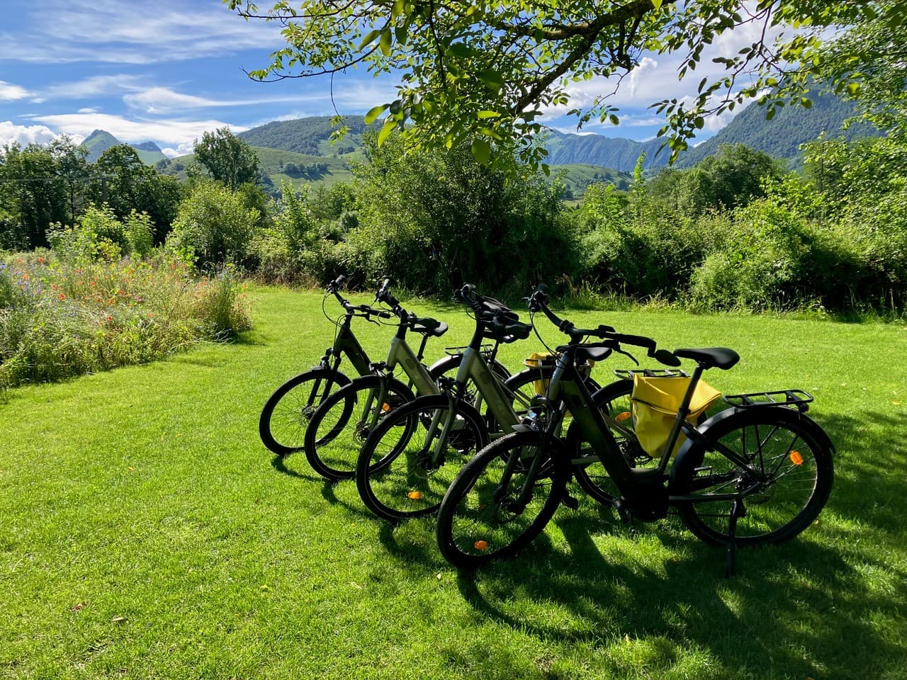 Location vélos VTC à assistance électrique