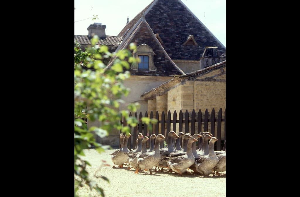 Domaine de Barbe