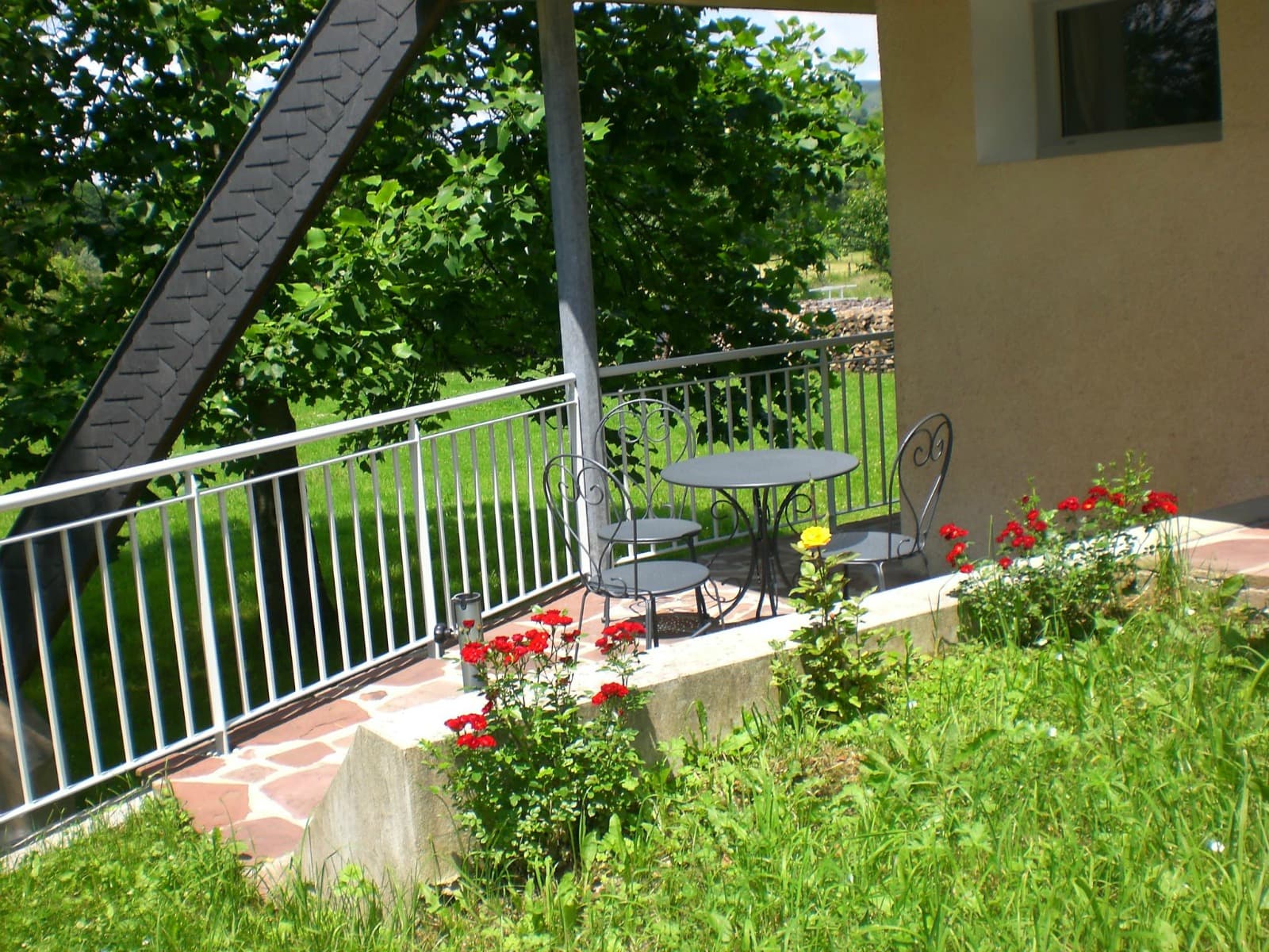 L'Aster - Terrasse