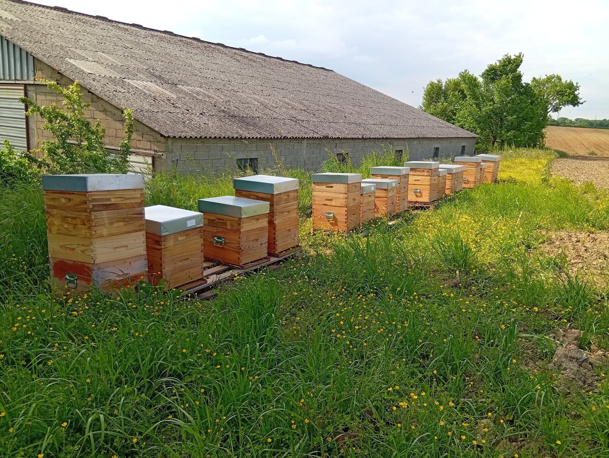 L'Happyculteur