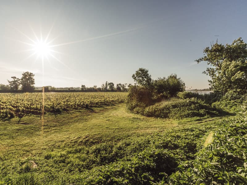L-Ile-Margaux2