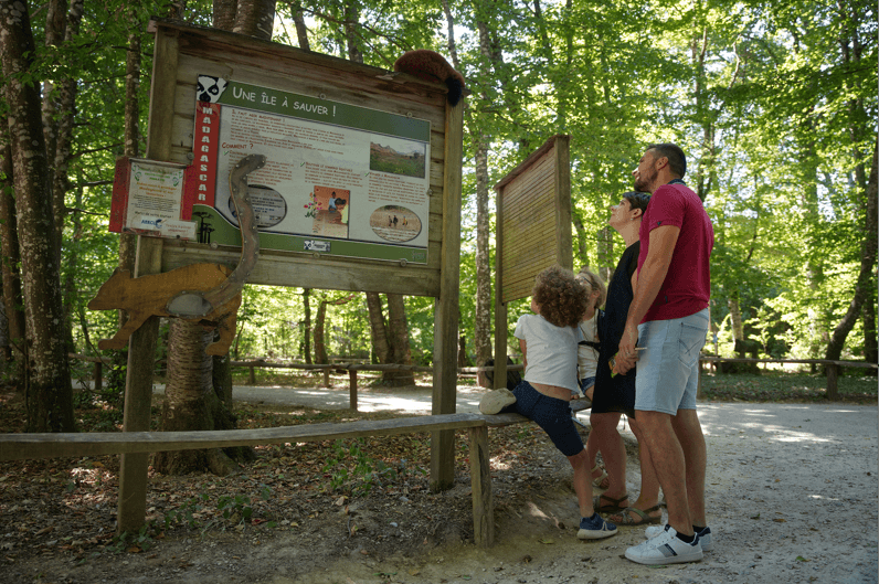 L_Aventure_De_Kaya_a_la_Vallee_des_singes