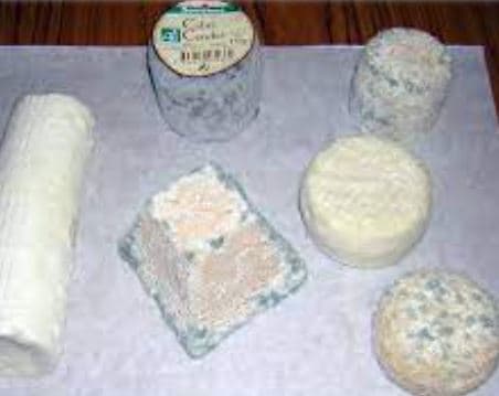 LA CHEVROCHERE FROMAGE