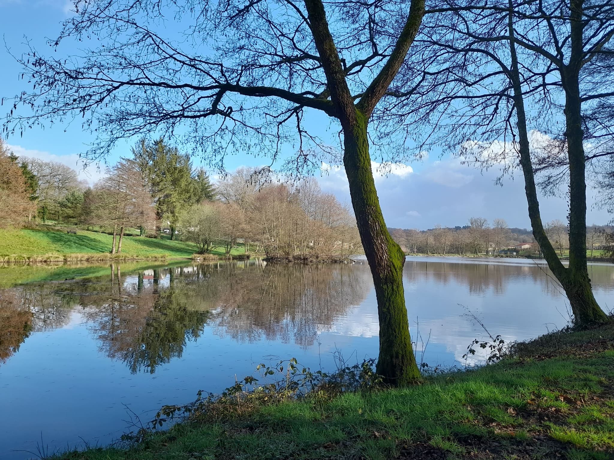 Etang de pêche en famille avec accès PMR Verger Rucher