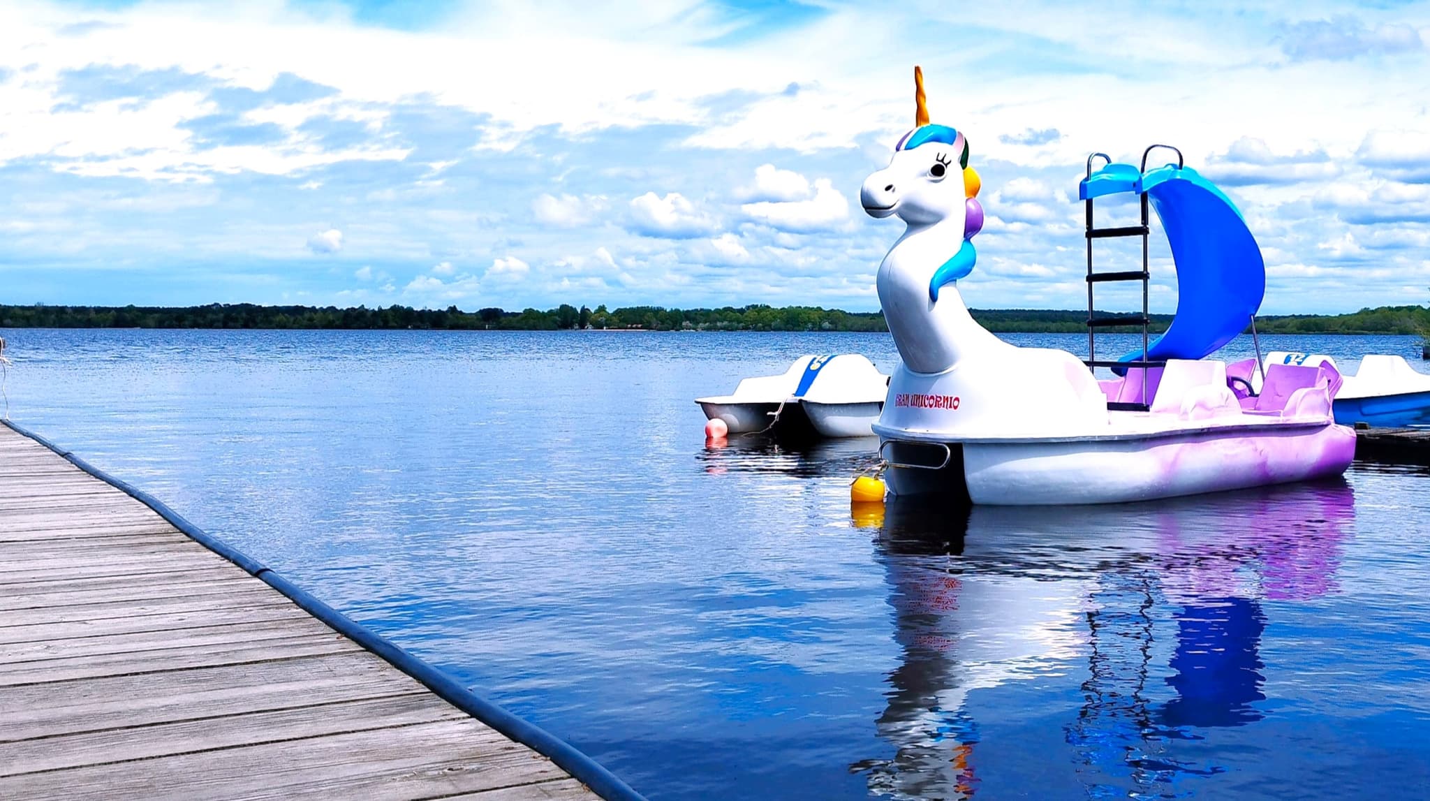 LICORNE CLNT HORIZONTAL