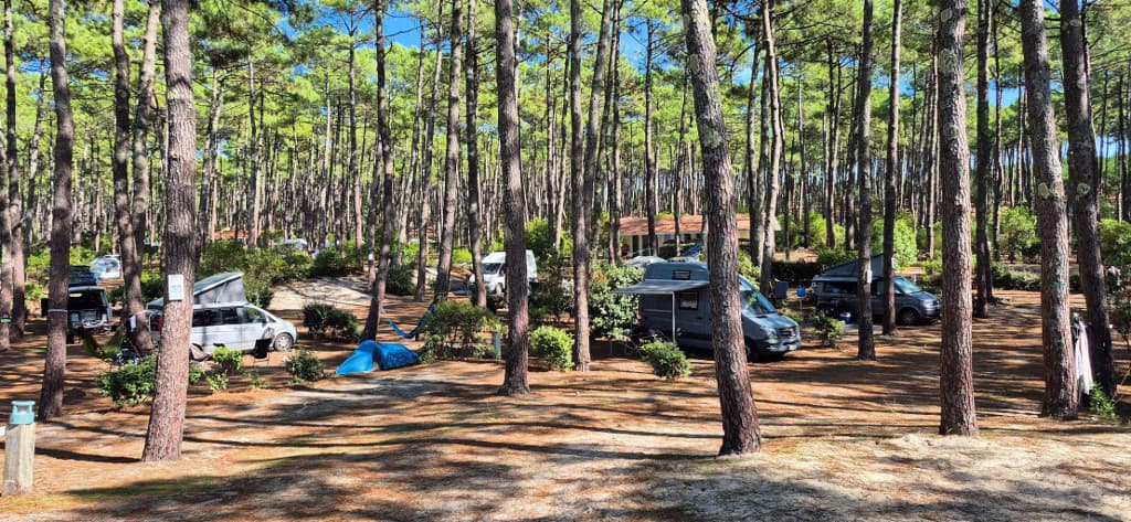LIT-CampingCap_1