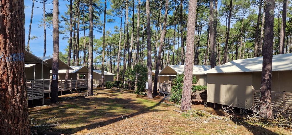 LIT-CampingCap_Camping_zone_lodges_01