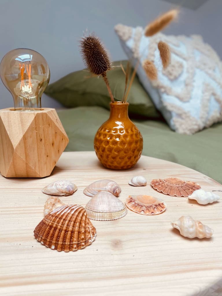LIT-Sukha-chambre verte