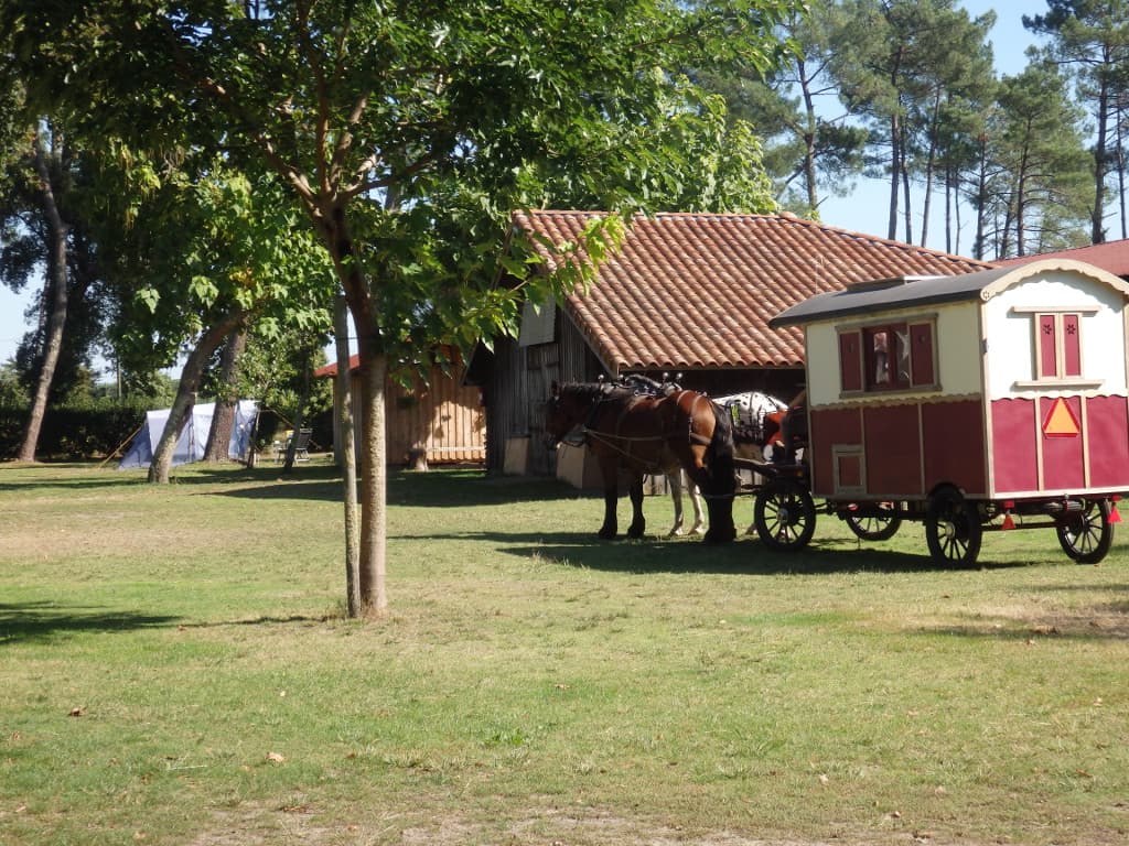 LIT-camping-LassalleTS